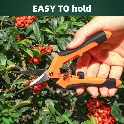 3-Pack Stainless Steel Pruning Shears, Pruning Snips and Clippers for Gardening - Picture 6 of 12