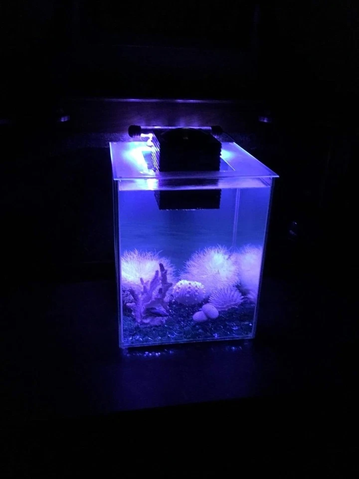 7.5-Inch LED Aquarium Light with 9 Color-Changing Modes - Waterproof & Remote - Image 4 of 4
