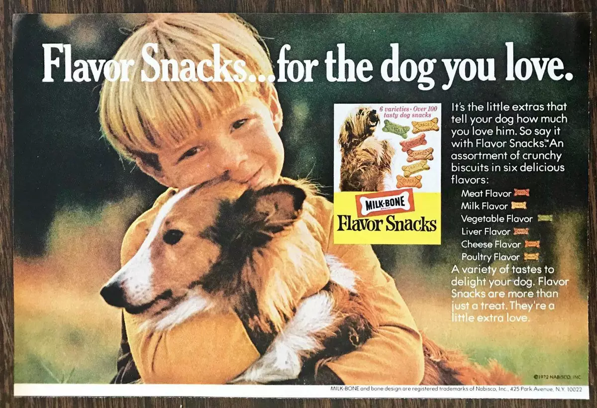 1972 Milk Bone Flavor Snacks Print Ad For the Dog You Love Collie