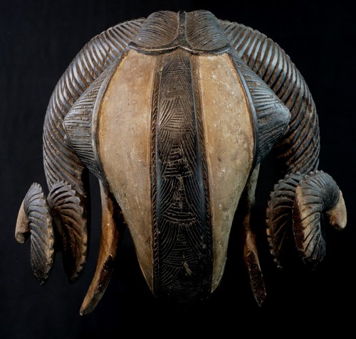 Art Africain - Superbe Masque Bélier Baoulé Baule - Impressive Ram Mask - 30 Cms - Photo 1 sur 11