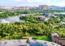 Urban Landscape Poster Wall Art – Cityscape with Lush Greenery