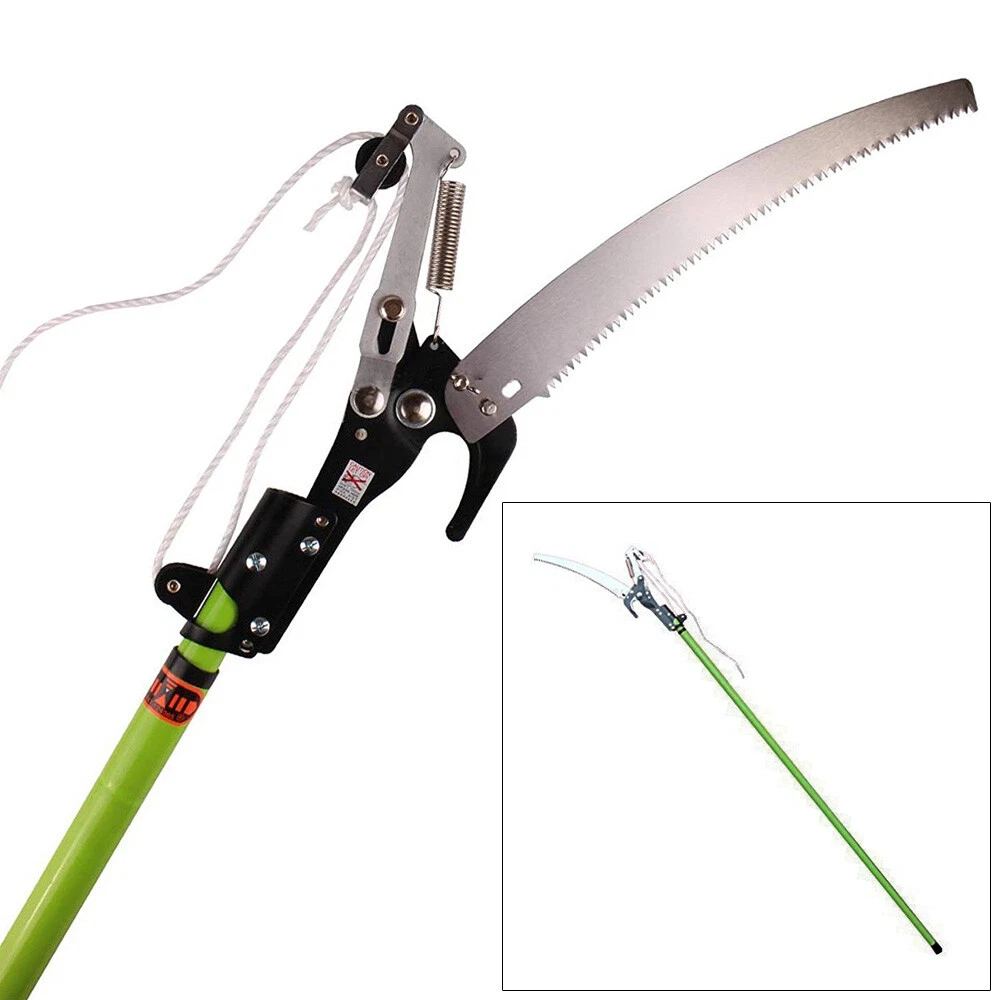 Tree branch saw online
