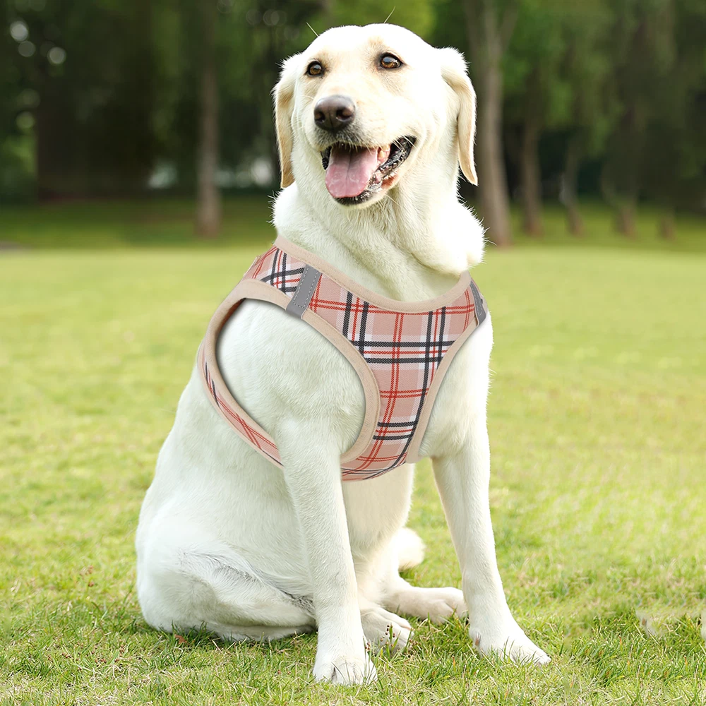 Dog Harness Breathable Mesh Soft Control Chest Strap and Leash Reflective Vest