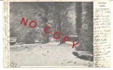 Nazzaro Happy Fiat car driver. Homburg 19.6.1904. Sofia di Bricherasio Painting