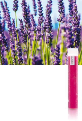 Aroma Sense Aroma Gelfilter LAVENDEL für Duschbrausen MAX und SPA
