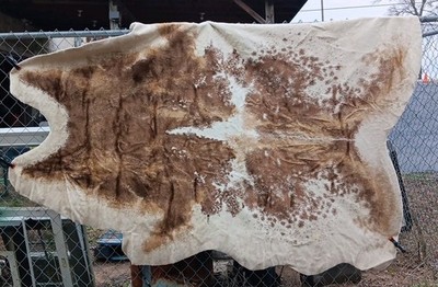 Fabulous Furs Cowhide Rug