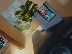 Duck hunt Duo Super Mario Nes