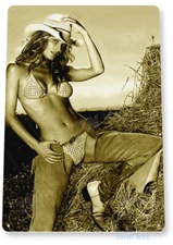 TIN SIGN Hay Stack Metal Décor Art Pin-up Cowgirl Chaps Farm Girl Bar Pub A803