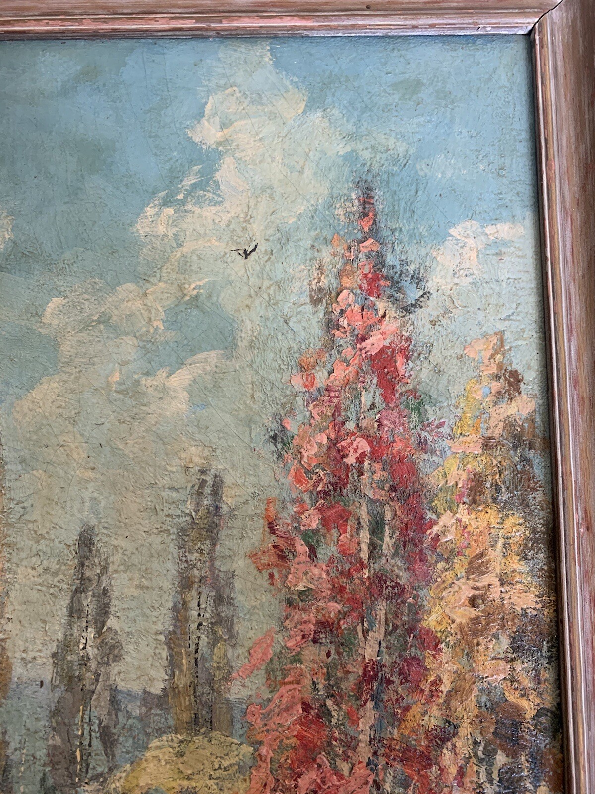 Picture 5 of 10