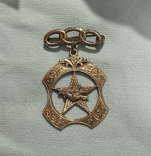 Vintage Odd Fellows Daughters Of Rebekah Peace Dove Pin Brooch 10k Yellow Gold