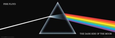 Pink Floyd Dark Side of the Moon Slim Print Poster - 36'' x 12''