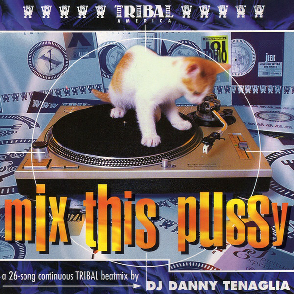 DJ Danny Tenaglia ‎– Mix This Pussy / CD / (7243 8 28791 21