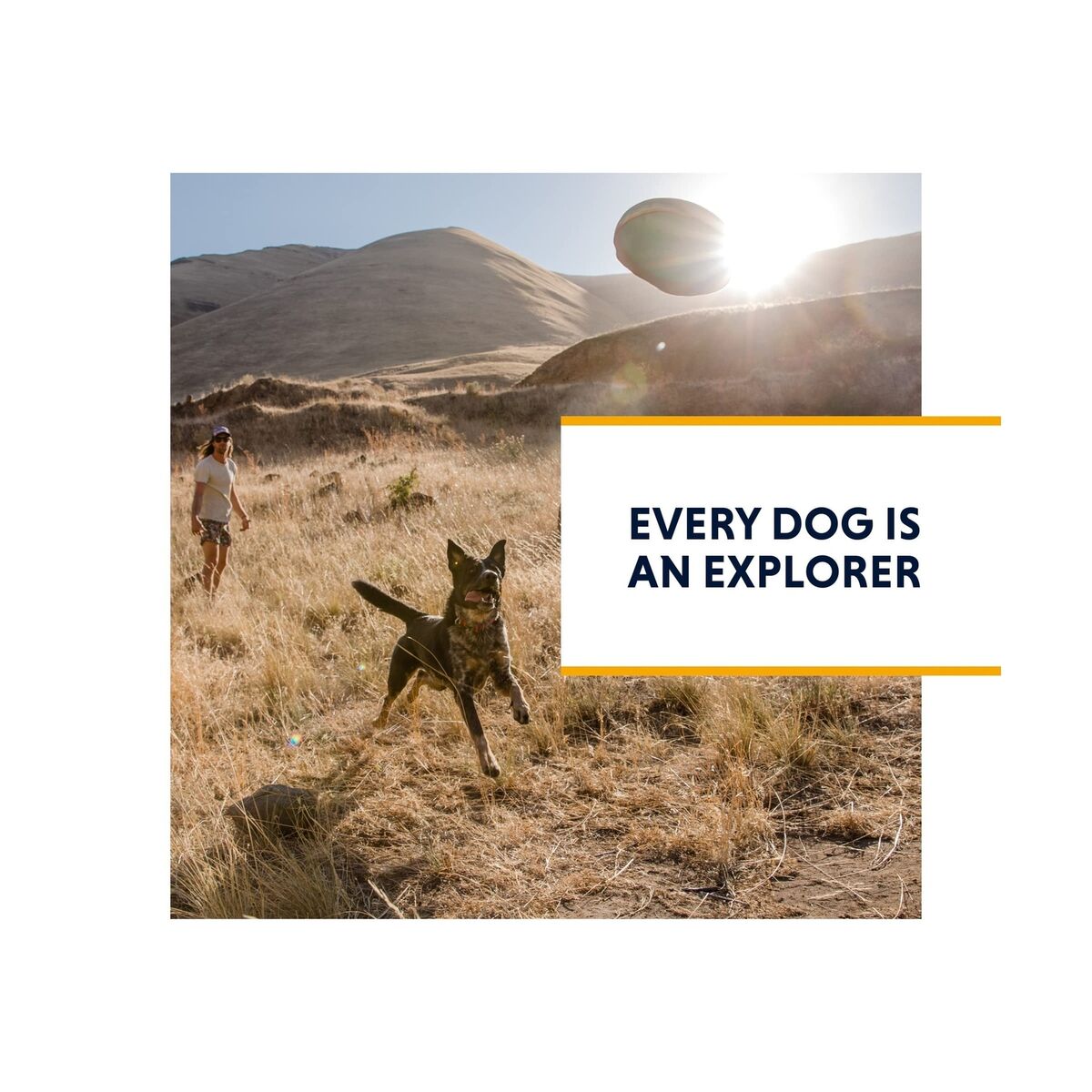 Ruffwear Omnijore Dog Joring System Dog Harness Hip Ruffwear Omnijore Dog Joring System Dog Harness Hip