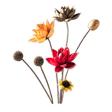 Handpicked Dried Flowers for Decoration - Assembly Needed, Great for Styling 10
