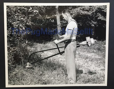 Asplundh Tree Expert Company Man Cutting Down Tree B&W Photograph 8x10 Vintage