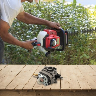 Gasstrahlvergaser Gartenwartung Reibungslosen Betrieb Robust Und Zuverlässig
