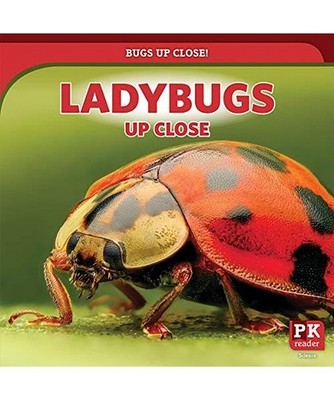 Ladybugs Up Close, Shea, Therese M.