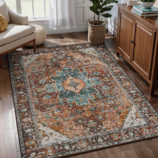 Area Rug 5X7Ft Washable Rugs for Living Room Non-Slip Indoor Rugs Large Low-Pile
