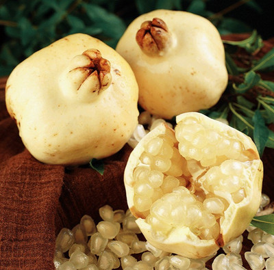 Fresh Pomegranate Fruit 100+ Seedss (Punica granatum) var. White Pomegranate
