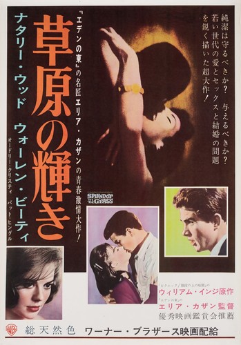 Splendor in the Grass 1961 Japanese B2 Poster
