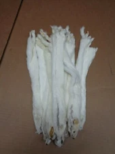 #2 Quality L Tanned Short Tail Ermine/Weasel/Fur/Crafts/Trapping/