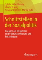 Schnittstellen In Der Sozialpolitik Sybille StöBe-Blossey (U. A.) Taschenbuch