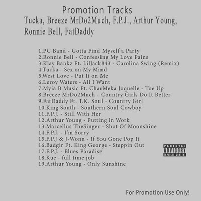 R&B/Soul.. White CD. Tucka, Breeze MrDo2Much, F.P.J., Arthur Young, FatDaddy