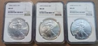 Lot/3 1996-1998 American Silver Eagle NGC MS69 Brown Label