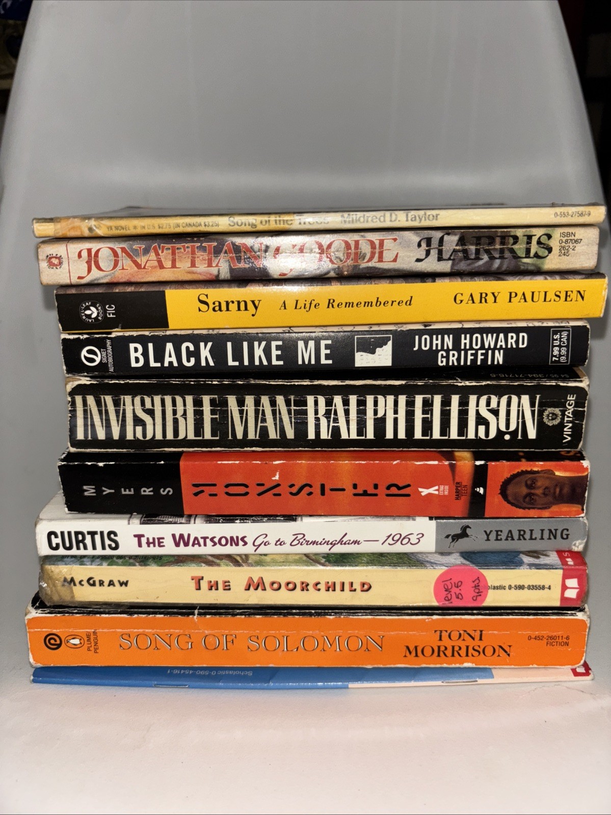 Diverse YA & African American Classics Book Lot – 10 Books