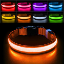 Light up Dog Collar for Night Walking - LED Dog Collar Light Rechargeable Color