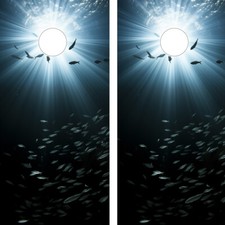 WATERPROOF FADEPROOF Cornhole Board Wraps / Underwater Fish