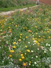 Bild 2 von 9