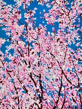 Alex Nizovsky — CHERRY BLOSSOM #4 — Expression Pop Art Floral Painting 18"x24"