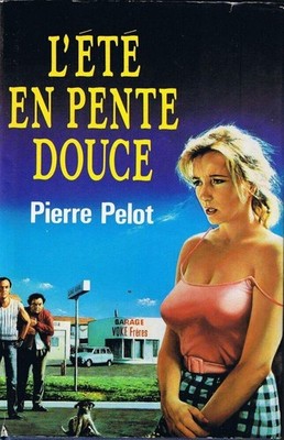 Der sanft abfallende Sommer | Pierre Pelot | Guter Zustand
