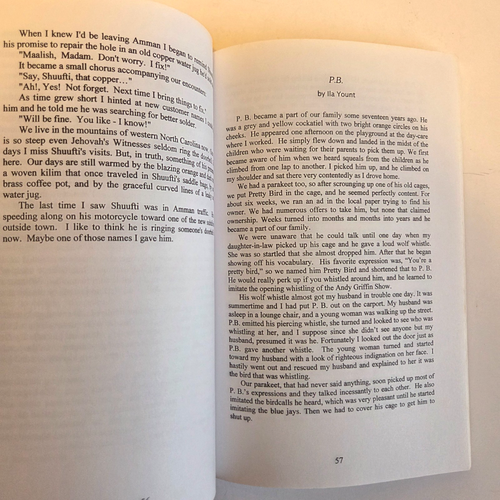 Lights in the Mountains Stories Essays & Poems about Southern Appalachians PB - Picture 7 of 14
