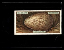 1926 Ogden's British Bird's Eggs (Cut-outs) #36 Skylark HIGHER GRADE GREAT!