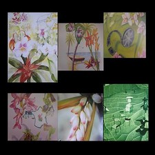 Affiches Festival orchidées et plantes tropicales Menton France ARTBOOK by PN