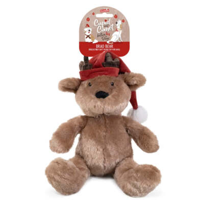 Rosewood - Brad Bear Dog Toy