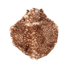 Dog Cloak Fashion Small Dog Plush Costume Universal Dog Cape Outfit Pet Supplies