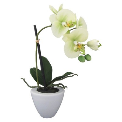 Künstliche Orchidee im Keramiktopf 36cm. Kunstblume, Phalaenopsis Orchidee Grün