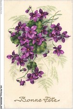 AVLP9-0615-FESTE - Fiori Viola - Buon Compleanno