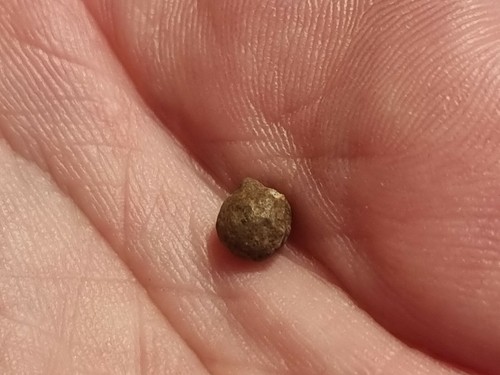 Exceptional Very Rare Viking polyhedral weight. A must read description LA143y