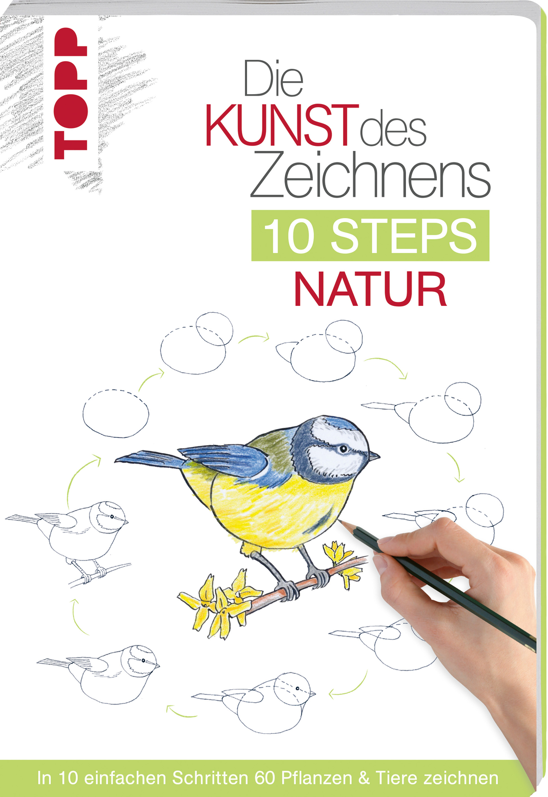 Thumbnail - Mary Woodin / Die Kunst Des Zeichnens 10 Steps - Natur