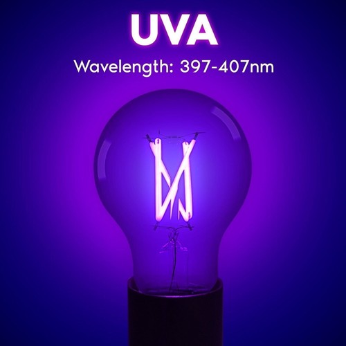 Luxrite A19 UV LED Black Light Bulb 6W Enclosed Fixture Rated E26 2-Pack - Picture 3 of 6