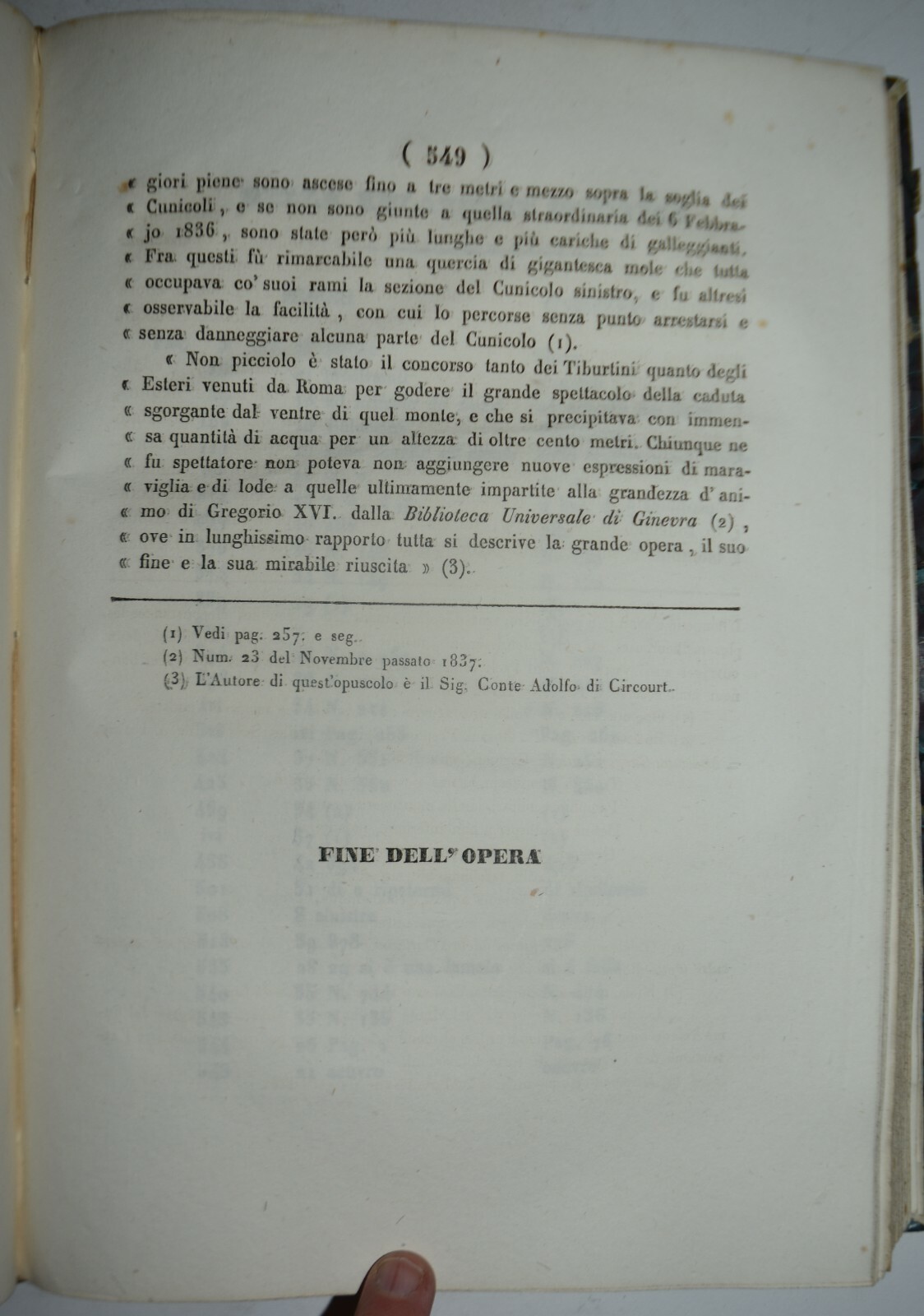 Foto 8 di 12