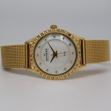 SKAGEN Denmark 347XSGG All St. Steel Quartz Analog Women's Watch New Battery