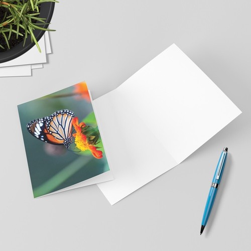 Pack of 24 British Wildlife Greeting Eco-friendly Cards Blank Cards Envelopes - Picture 4 of 6