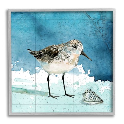 Sandpiper Bird and Shell Nautical Ocean Map Wall Art, 17 x 17, Grey Framed