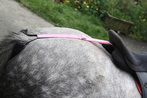 CRUPPER Web Correra Silla Dee to Tail Mini Pony Cob F/S Colores Shetland - Imagen 51 de 63