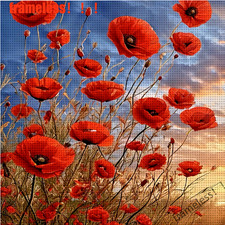 Beautiful Poppies Stamped Cross Stitch Kit 11ct 30x30cm (H) Free P&P